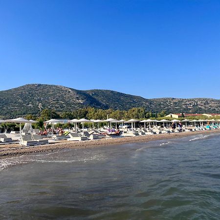 הוילה פיתגוריו Holiday Oasis With Private Patio And Hammam-Style Bath In Chora-Pithagoreo, Samos Island מראה חיצוני תמונה